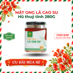 Mật ong lá cao su | Hũ thủy tinh 280g
