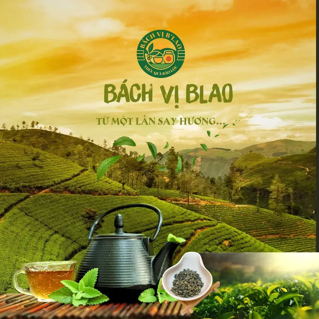 Trang chủ 14 543024747 122106850298995779 5645325292726303588 n 1