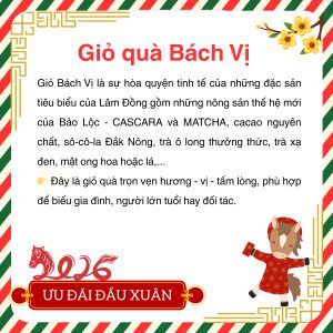 vn 11134207 81ztc mk57u4dje0av0a