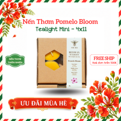Hộp nến Tealight Mini | 4 viên x 11g - Nhiều mùi hương