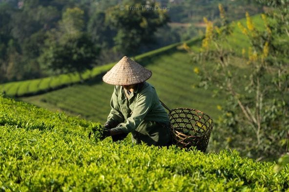 6b9e373a7f932e0a6bcf29178e7ca89b