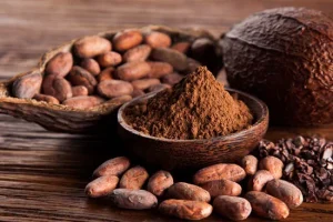 Uống cacao có tốt không