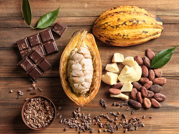 Cacao latte là gì? 3 Cách pha cacao latte, cacao nóng, cacao sữa chuẩn vị tại nhà | Bách Vị B'lao 3 Trái cacao tươi