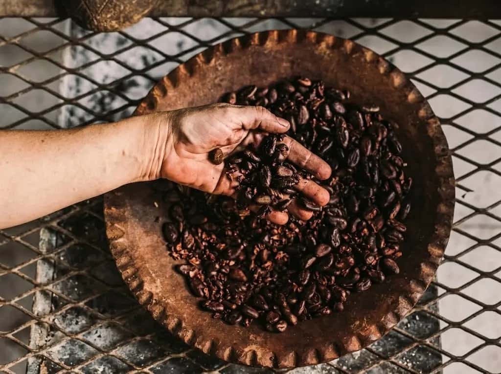 Uống Cacao có béo không? Giải đáp chi tiết và bí quyết đốt mỡ thừa | Bách Vị B’lao 3 Uống cacao có giảm cân không