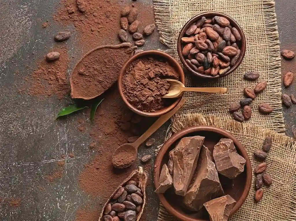 Uống Cacao có béo không? Giải đáp chi tiết và bí quyết đốt mỡ thừa | Bách Vị B’lao 4 Công dụng của cacao