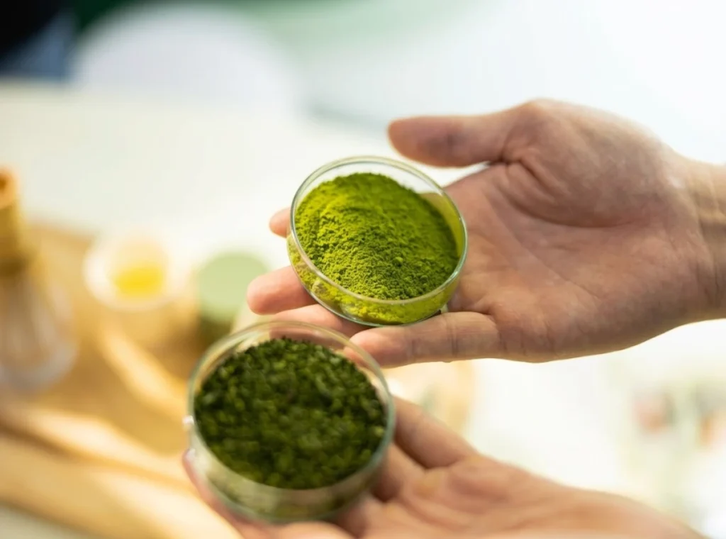 So sánh Matcha oolong và Matcha Nhật : 4 Bí quyết chọn bột trà | Bách Vị B'lao 1 So sánh Matcha oolong và Matcha Nhật