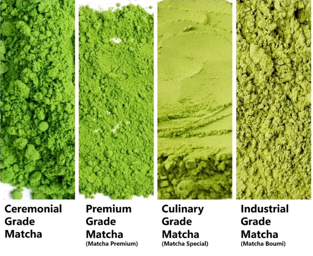 So sánh Matcha oolong và Matcha Nhật : 4 Bí quyết chọn bột trà | Bách Vị B'lao 5 Matcha oolong và matcha Nhật loại nào ngon hơn?