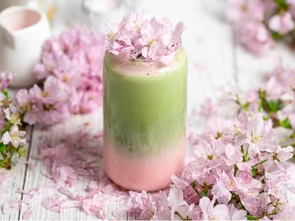 Matcha oolong hoa anh đào