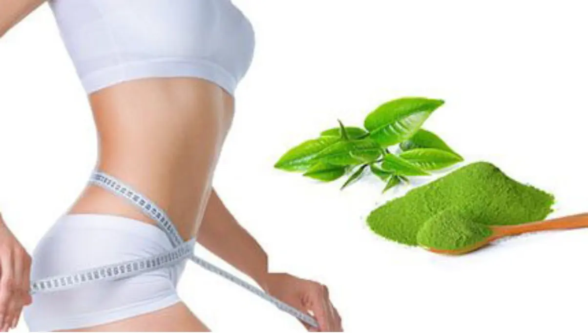 Matcha ô long có giúp giảm cân không? 3 cách uống hiệu quả | Bách Vị B'lao 3 Ngoài hỗ trợ vóc dáng, matcha ô long có tác dụng gì?