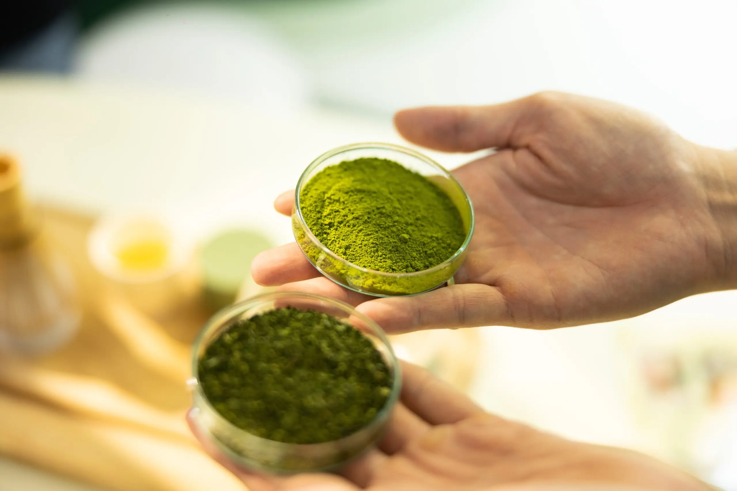 Vì sao Matcha oolong Bảo Lộc có vị đặc biệt?