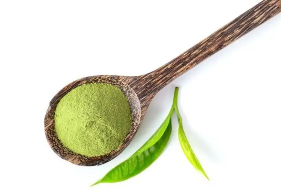Trend matcha oolong Bảo Lộc 2026: Xu hướng trà healthy "hot" Nhật từ thủ phủ trà Việt | Bách Vị B’lao 2 Trend matcha oolong Bảo Lộc chính thức bùng nổ từ năm 2022 tại Bảo Lộc – Lâm Đồng