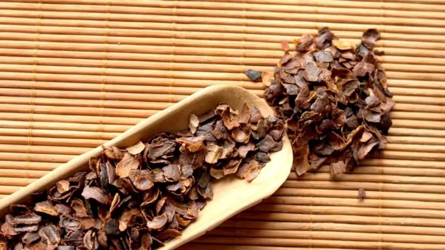Trà Cascara Bảo Lộc – thức uống mới từ quả cà phê, hương vị lạ nhưng dễ yêu 2026 | Bách Vị B’lao 2 Cascara là phần vỏ và lớp thịt của quả cà phê chín được làm khô rồi hãm như trà