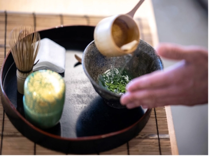 Uống matcha oolong có tốt không? 7 công dụng vàng | Bách Vị B'lao 7 Bảo vệ sức khỏe hệ tim mạch