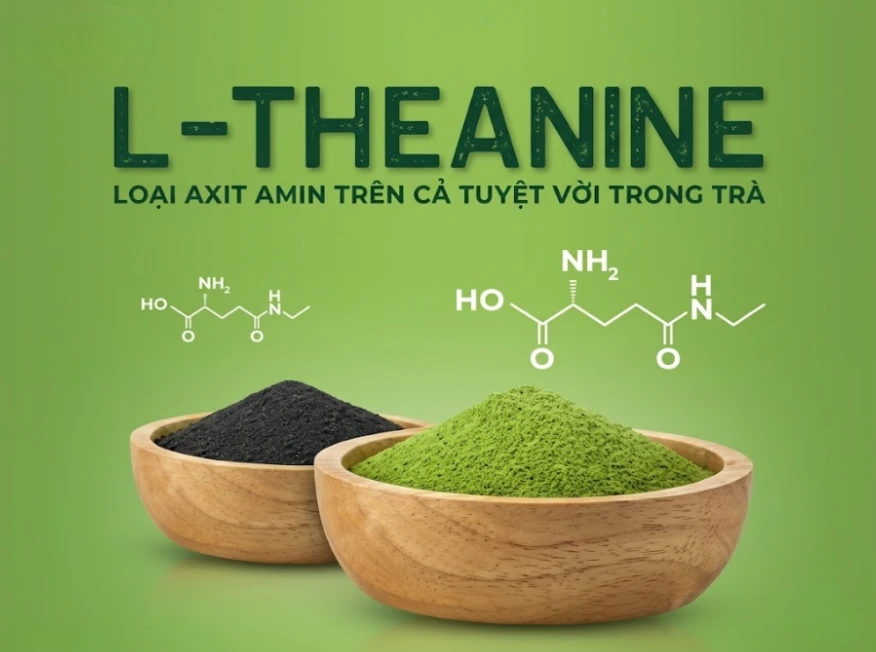 Matcha oolong bao nhiêu calo? Bật mí bí quyết giữ dáng | Bách Vị B'lao 5 Axit amin L-Theanine và khoáng chất