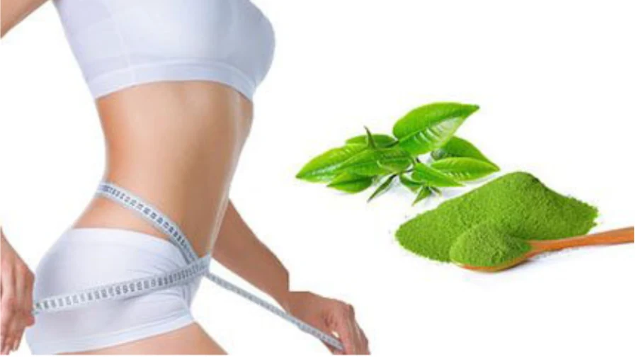 Matcha oolong bao nhiêu calo? Bật mí bí quyết giữ dáng | Bách Vị B'lao 7 Hướng dẫn uống matcha oolong đúng cách để siết mỡ thừa