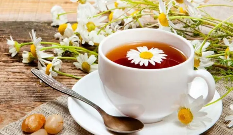 Thích hợp buổi tối, tạo cảm giác thư giãn.