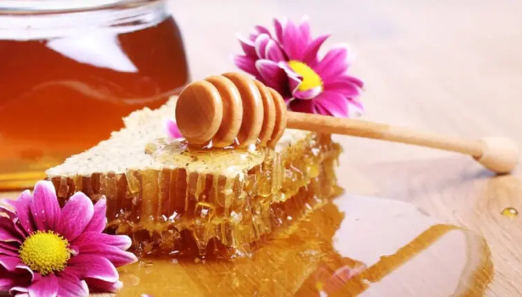 Mật Ong Manuka – Dòng Mật Ong Cao Cấp Được Nhiều Người Quan Tâm