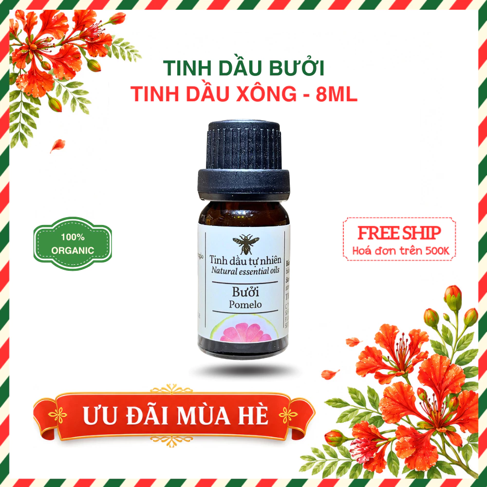 TINH DẦU XÔNG THIÊN NHIÊN NGUYÊN CHẤT 8ML - CHAI THỦY TINH NÂU | BÁCH VỊ B'LAO 7 TINH DẦU XÔNG THIÊN NHIÊN NGUYÊN CHẤT 8ML - CHAI THỦY TINH NÂU | BÁCH VỊ B'LAO - Ảnh 7